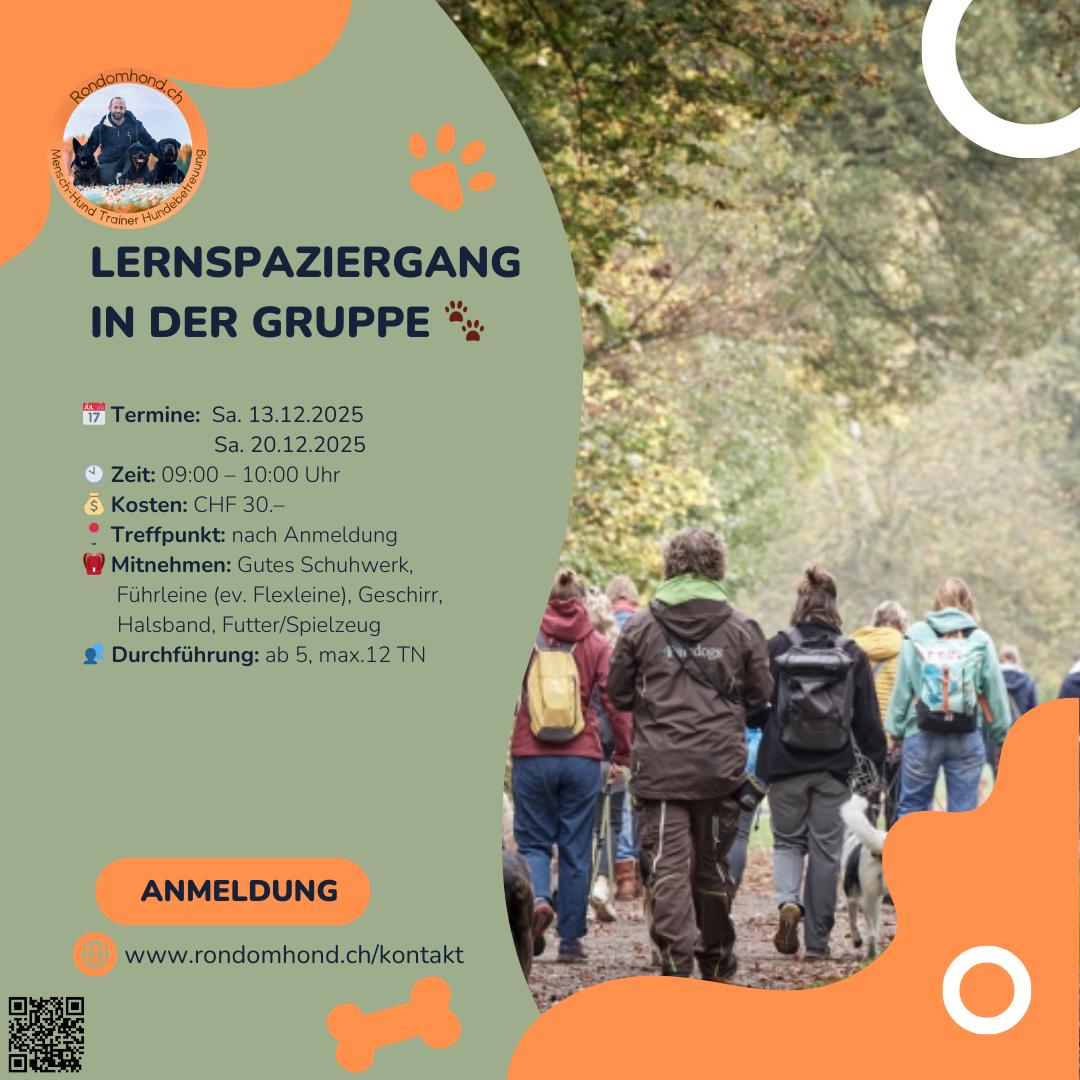 Flyer Lernspaziergang Dezember Flyer Lernspaziergang Dezember